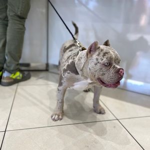 Meet your Posher, Amber